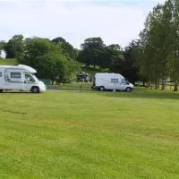 parkland-caravan-camping-park-westport-yvfpf