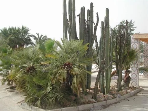 campingla-escuera-la-marina-cmnh1
