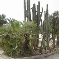 campingla-escuera-la-marina-cmnh1