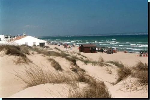campingla-escuera-la-marina-pjqk9