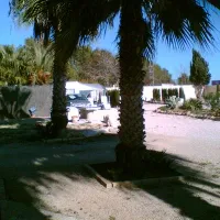 campingla-escuera-la-marina-qqwip
