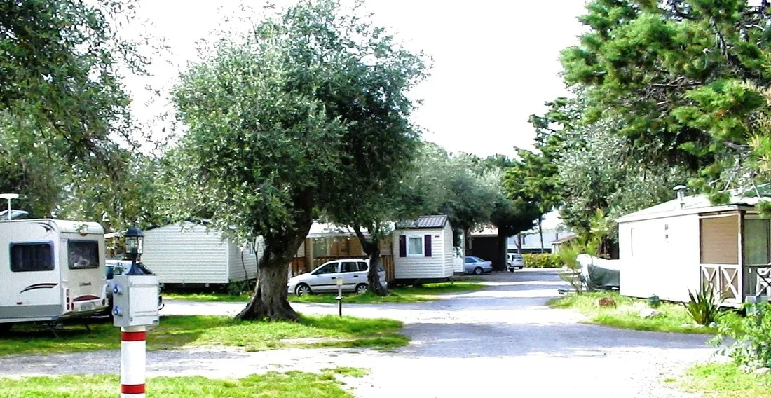 camping-les-oliviers-le-boulou-acoqz