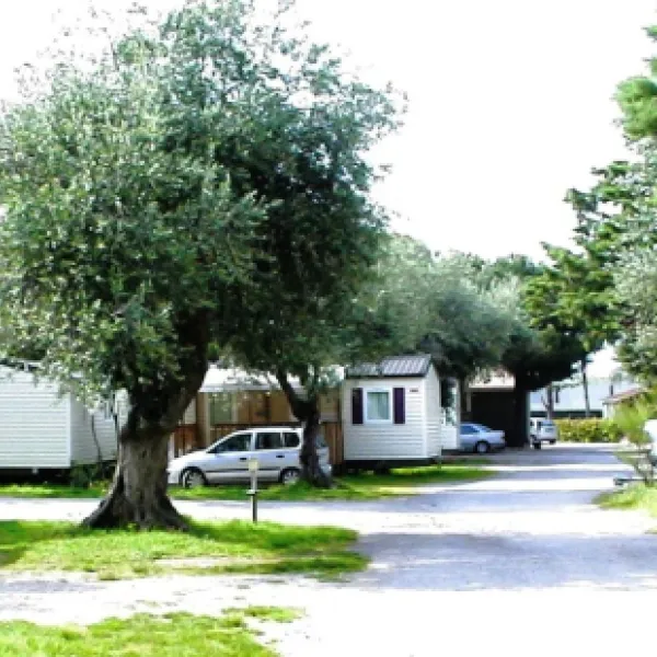 camping-les-oliviers-le-boulou-acoqz