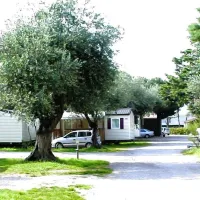camping-les-oliviers-le-boulou-acoqz
