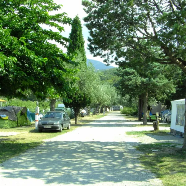 camping-les-oliviers-le-boulou-rzyuu