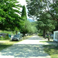 camping-les-oliviers-le-boulou-rzyuu