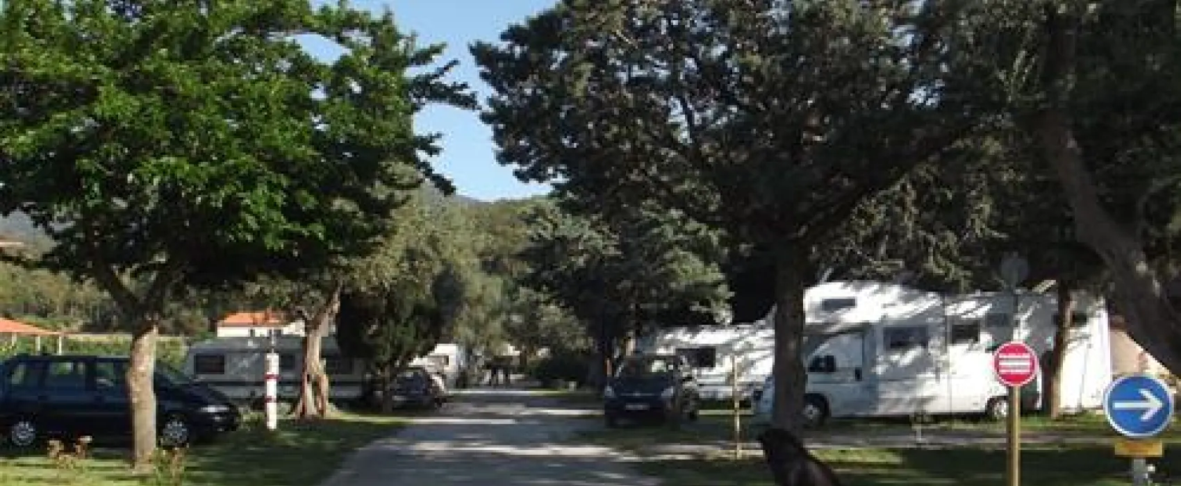 Camping Les Oliviers  