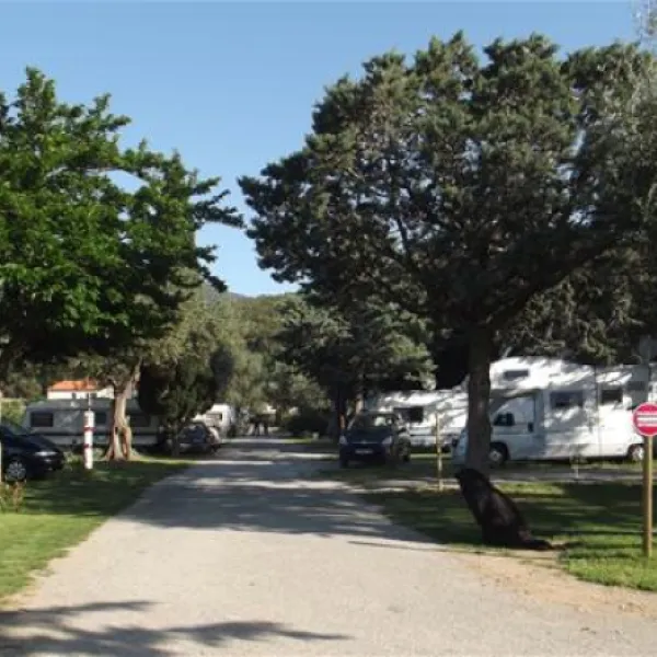 camping-les-oliviers-le-boulou-uoy3m