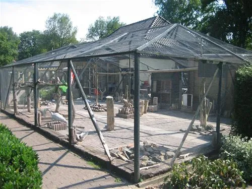 camping-de-meerdonk-heeswijkdinther-qt5p9