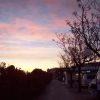 camping-bon-sol-el-campello-14del