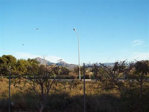 camping-bon-sol-el-campello-tyzgr