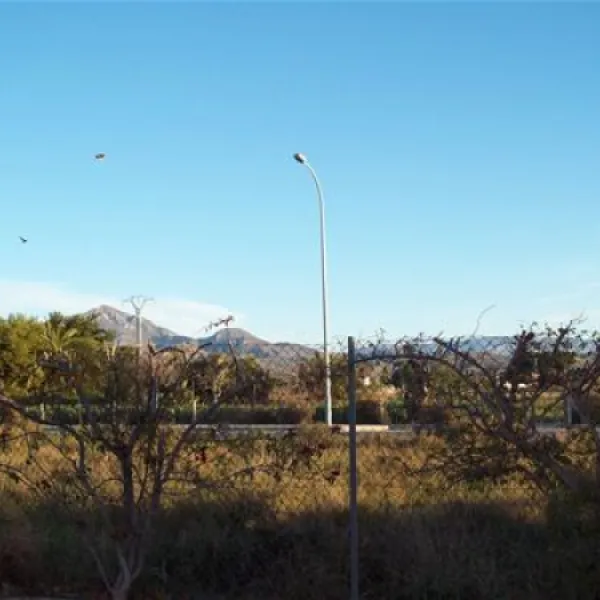 camping-bon-sol-el-campello-tyzgr