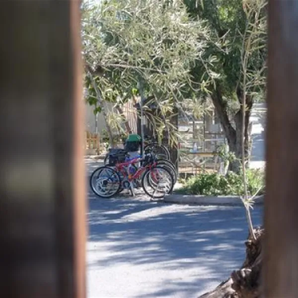 camping-bon-sol-el-campello-urli2