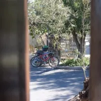 camping-bon-sol-el-campello-urli2