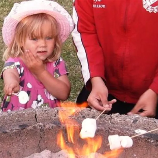 hummingen-camping-dannemare-b0cat