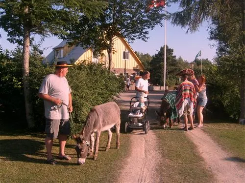 hummingen-camping-dannemare-esmnp