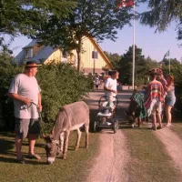 hummingen-camping-dannemare-esmnp