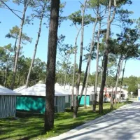 parque-de-campismo-da-foz-do-mondego-figueira-da-foz-4dnar