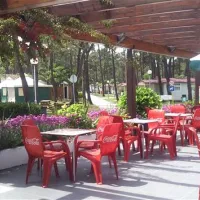 parque-de-campismo-da-foz-do-mondego-figueira-da-foz-4lwxu