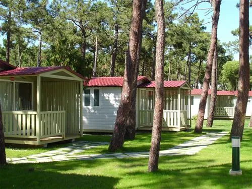 parque-de-campismo-da-foz-do-mondego-figueira-da-foz-m2rk9
