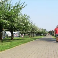 camping-de-boomgaard-bunnik-dp5p6