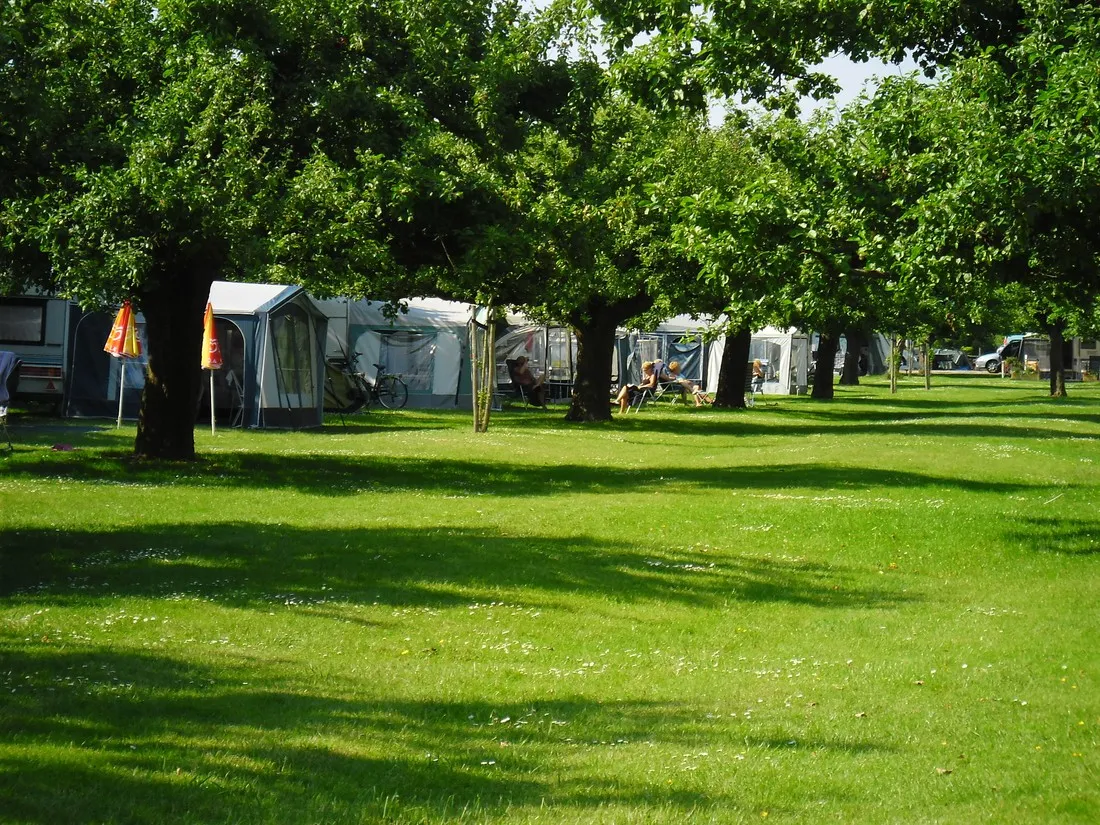 camping-de-boomgaard-bunnik-olgw3