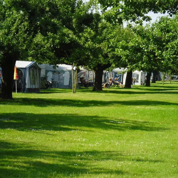 camping-de-boomgaard-bunnik-olgw3