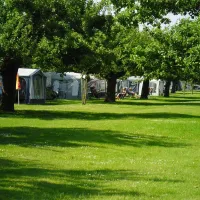 camping-de-boomgaard-bunnik-olgw3