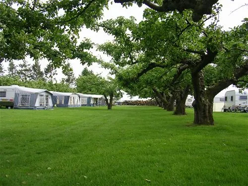 camping-de-boomgaard-bunnik-tdovp