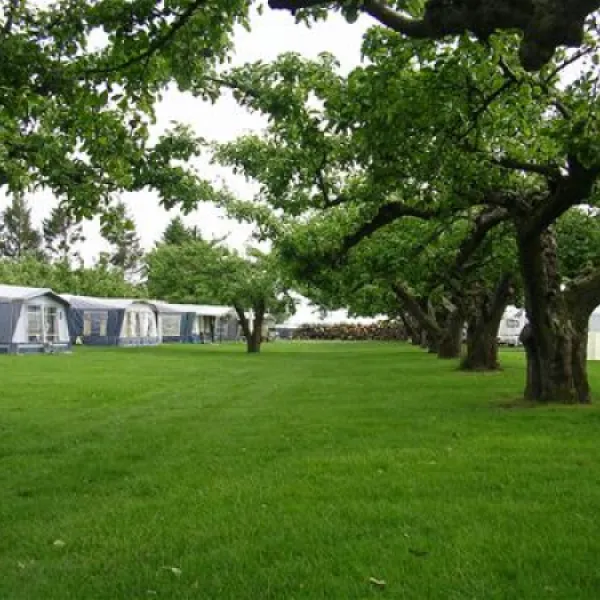 camping-de-boomgaard-bunnik-tdovp
