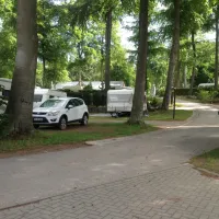 Stubbenfelde