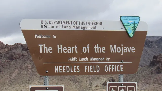 heart-of-the-mojave-west-amboy-d7hhg