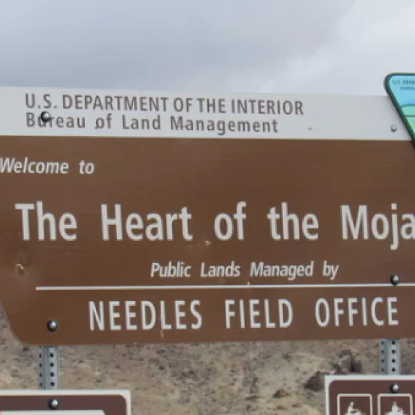 heart-of-the-mojave-west-amboy-d7hhg