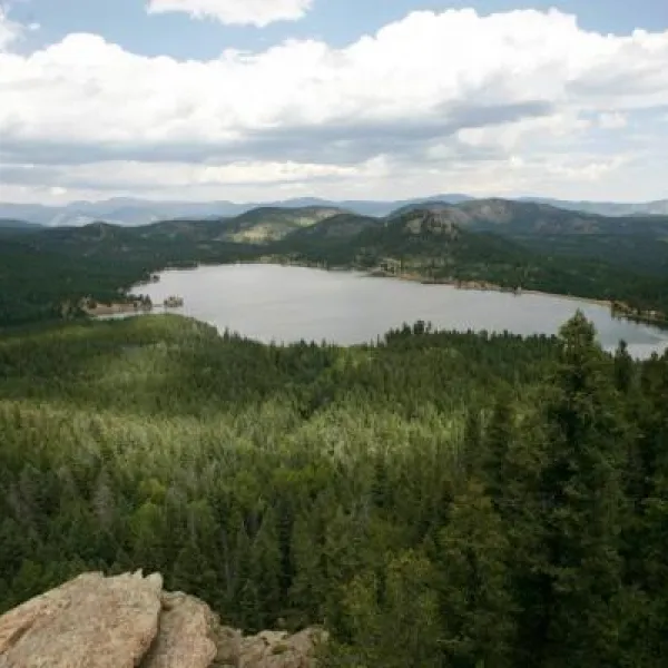 wellington-reservoir-bailey-ivvyw