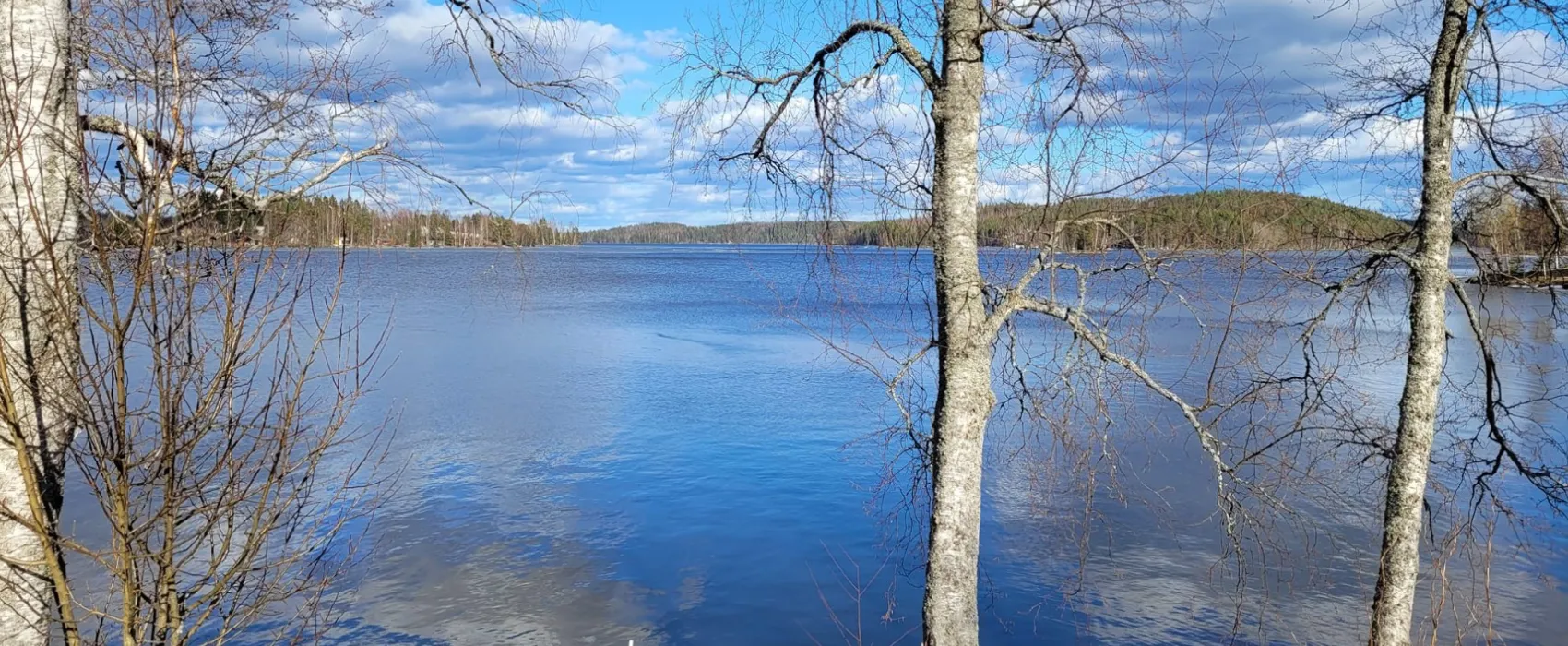 Lepoparkki