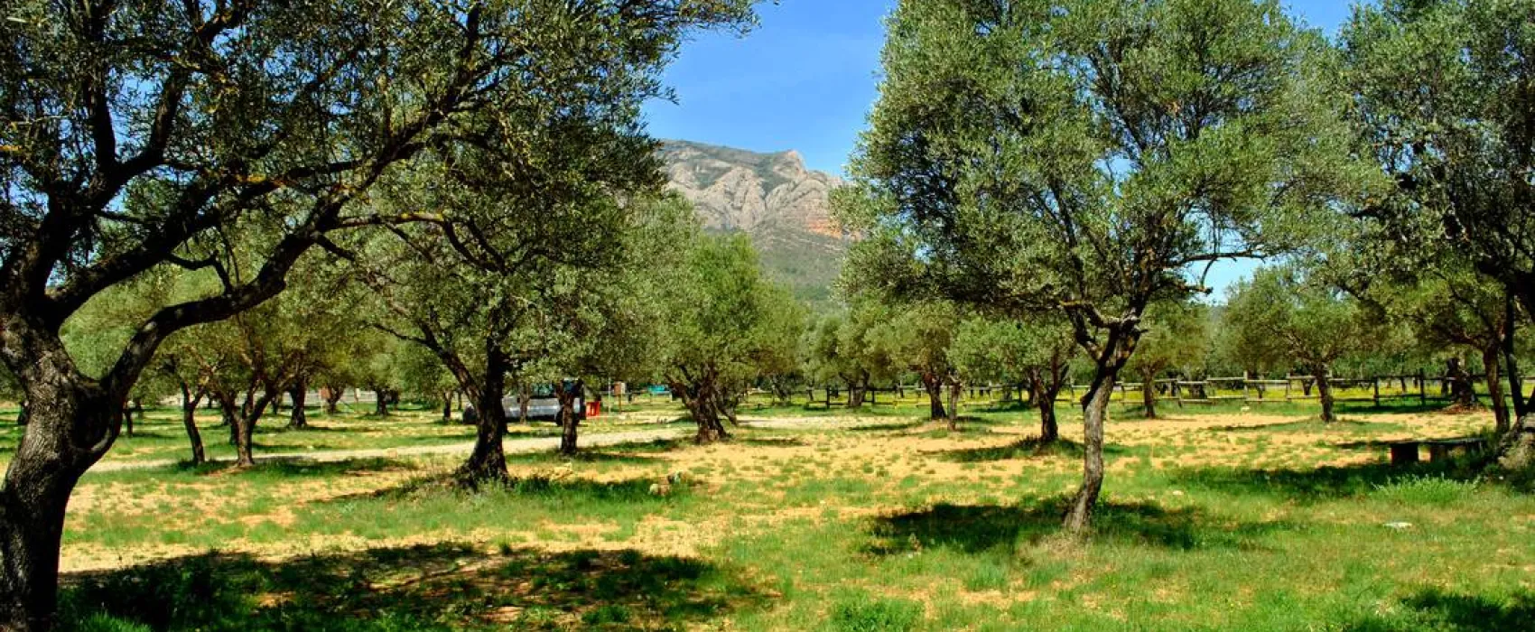 Camping Armalygal
