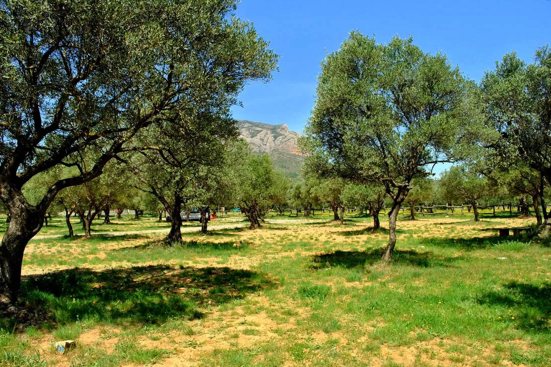camping-armalygal-murillo-de-gallego-kf5sz