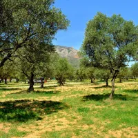 camping-armalygal-murillo-de-gallego-kf5sz
