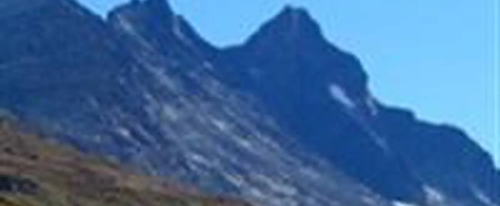 Dalsøren Camping
