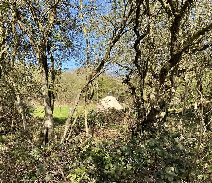 dreamy-hollow-woodland-campsite-and-ww1-trenches-kings-lynn-1o6ax