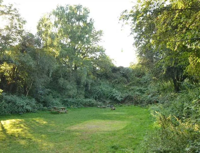 dreamy-hollow-woodland-campsite-and-ww1-trenches-kings-lynn-4ozuv