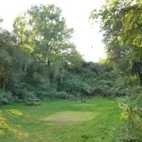 dreamy-hollow-woodland-campsite-and-ww1-trenches-kings-lynn-4ozuv