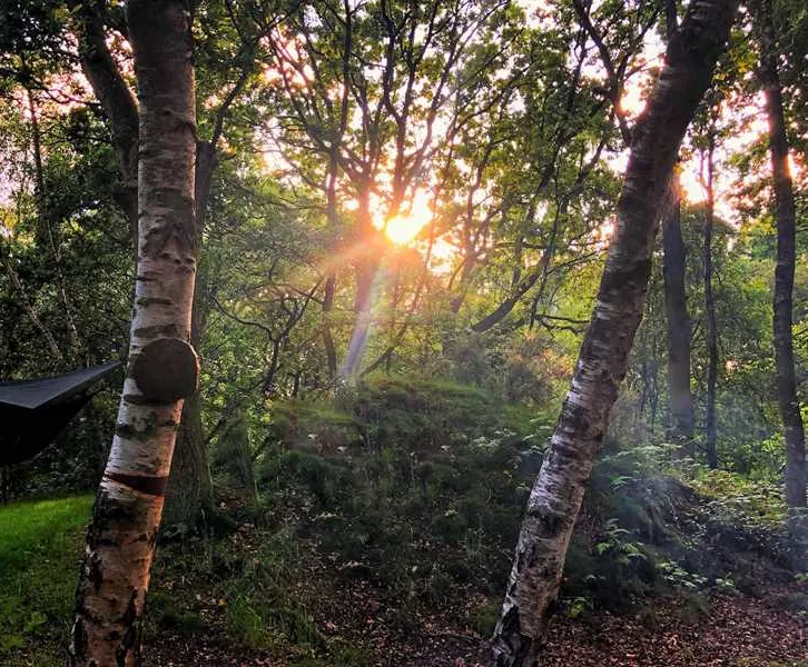 dreamy-hollow-woodland-campsite-and-ww1-trenches-kings-lynn-a1p2d