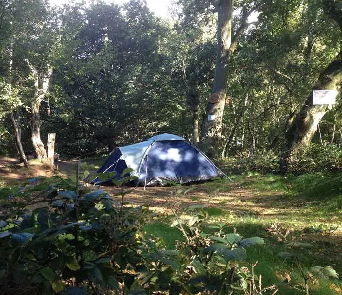 dreamy-hollow-woodland-campsite-and-ww1-trenches-kings-lynn-axfmh