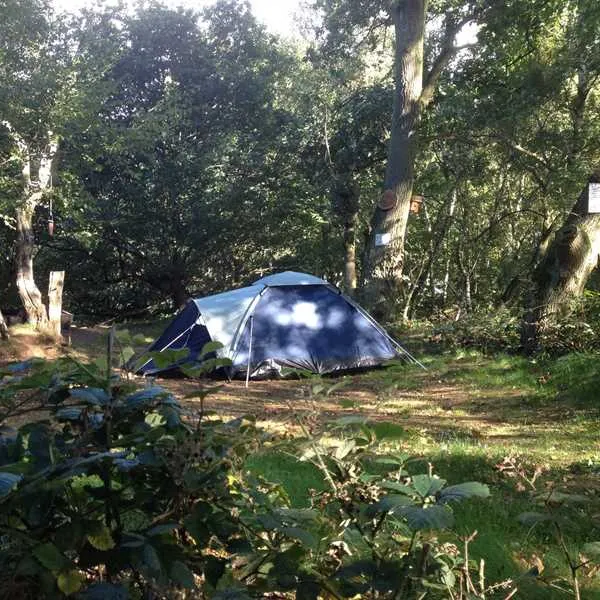 dreamy-hollow-woodland-campsite-and-ww1-trenches-kings-lynn-axfmh