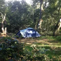 dreamy-hollow-woodland-campsite-and-ww1-trenches-kings-lynn-axfmh
