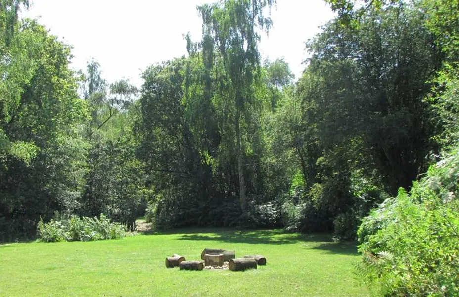 dreamy-hollow-woodland-campsite-and-ww1-trenches-kings-lynn-dzinz