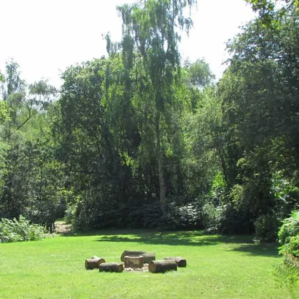dreamy-hollow-woodland-campsite-and-ww1-trenches-kings-lynn-dzinz