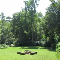 dreamy-hollow-woodland-campsite-and-ww1-trenches-kings-lynn-dzinz
