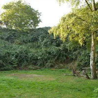 dreamy-hollow-woodland-campsite-and-ww1-trenches-kings-lynn-hbq7m